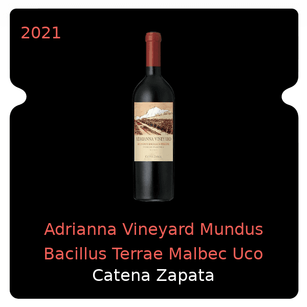Zapata Adrianna Vineyard Mundus Bacillus Terrae Malbec Uco Valley 2021