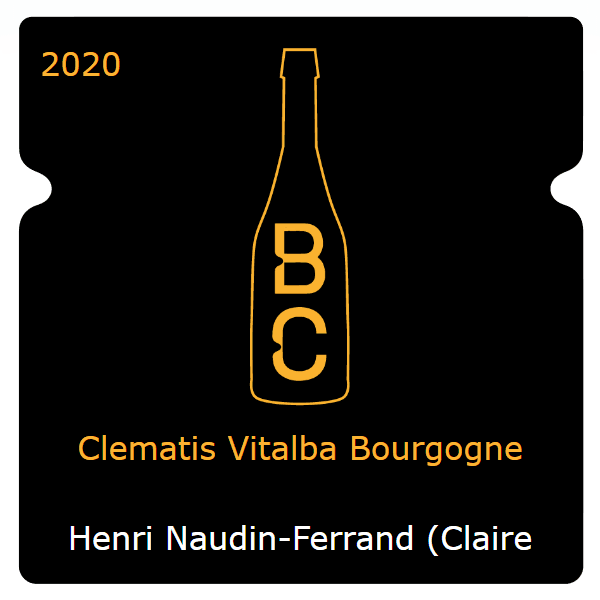 Henri Magnien Clematis Vitalba Bourgogne 2020