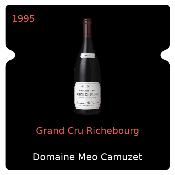 Meo Camuzet Grand Cru Richebourg 1995