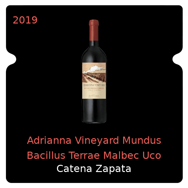 Zapata Adrianna Vineyard Mundus Bacillus Terrae Malbec Uco Valley 2019