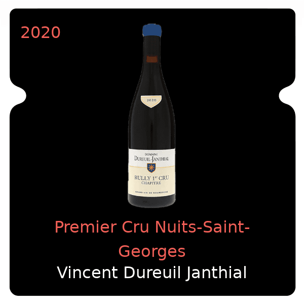 Vincent Dureuil Janthial Premier Cru Nuits-Saint-Georges 2020
