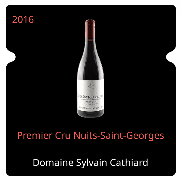 Sylvain Cathiard Premier Cru Nuits-Saint-Georges 2016