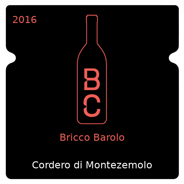 Bricco Barolo 2016