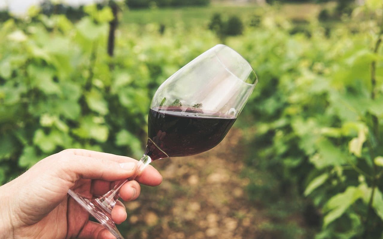 Cover Image for 5 Types of Wine You Should Know – Part 1