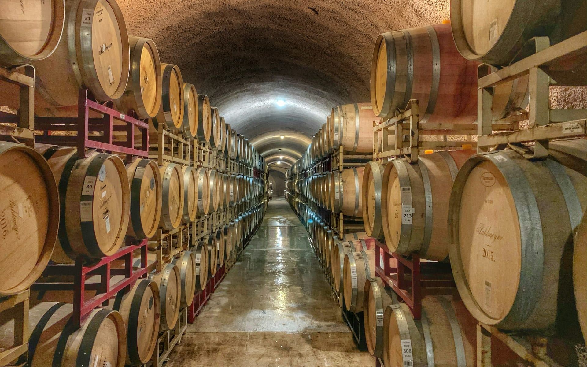 Cover Image for Wine & Web 3.0: How Innovation is Shaping the Future of Wine Collecting