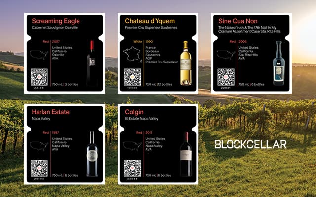 Cover Image for 5 Rare and Unique Wine Bottles You’ve Never Heard Of (Available on BlockCellar!)
